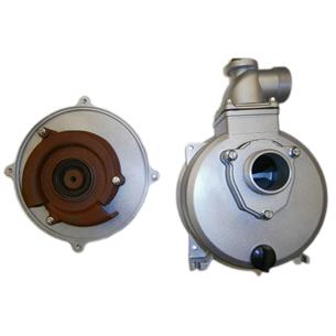 CUERPO BOMBA COMPLETO 2 PULG. PARA EJE CILINDRICO CON CHAVETA 20MM POTENCIA 5,5 CV