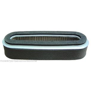 FILTRO AIRE GV-160, GV-200, GXV-120