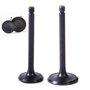 VALVULA ADMISION Y ESCAPE YAMAHA MZ-360