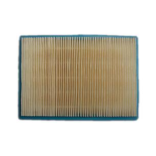 FILTRO AIRE BS MAX SERIE,MAX 40 3,5,4,5HP 160X114X20MM