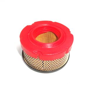 FILTRO AIRE BRIGGS 5425, 797819