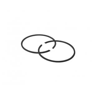 SEGMENTOS TE59D-AG20 DIAM. 44MM BL-6500 BL6700