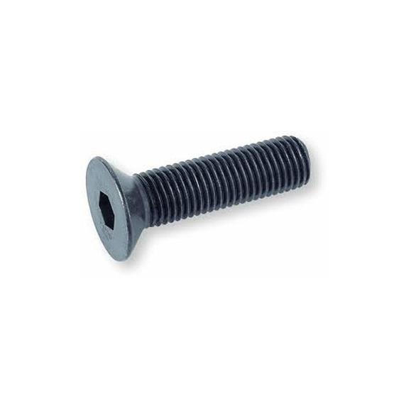 K031-050160 TORNILLO GUIA CUCHILLA M5 X 15.5, HEXAGONAL