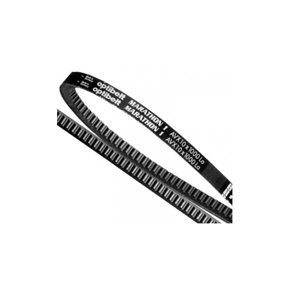 CORREA HONDA PUBERT AVX10 X 1000 La, XTREM , UM-526