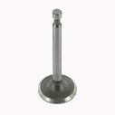 Intake and exhaust valve