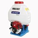 Pulverizador espalda motor